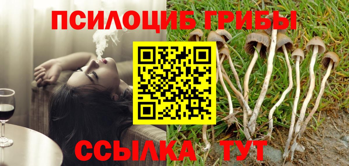 Псилоцибиновые грибы прущие грибы Берёзовский